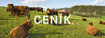 Ceník